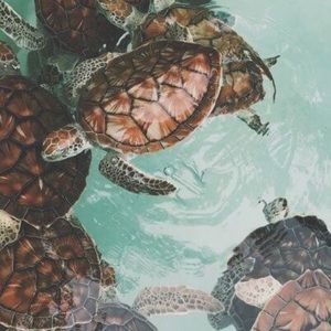 Meet your Posher, Brylee